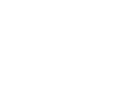 Handley Capital